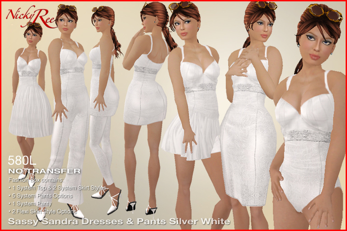 Designing Nicky Ree Business Wear - Sassy Sandra Dresses N Pants Silver White