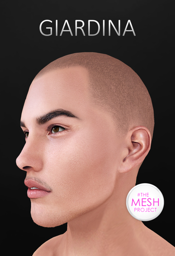 Giardina - YANKEE - FATPACK (Bagged)