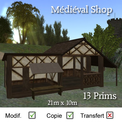 Medieval Shop