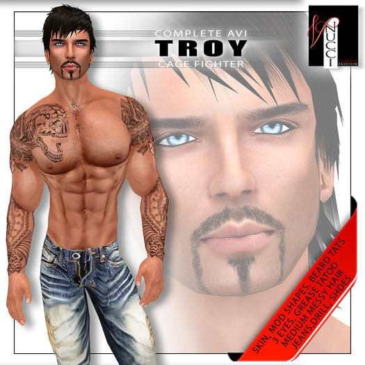 Complete Avatar-Troy