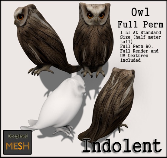 [INDO] Perched Owl Full Perm - 1LI