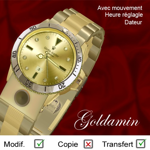 Montre Goldamin Watch