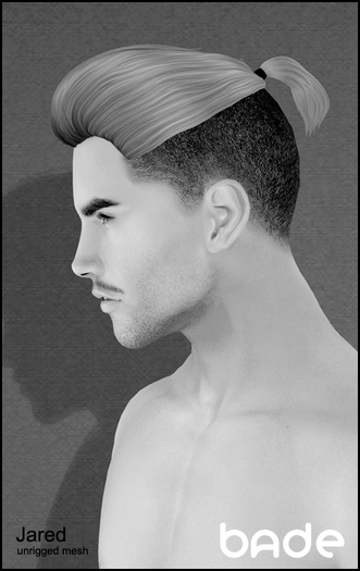 [bade] Jared DEMO