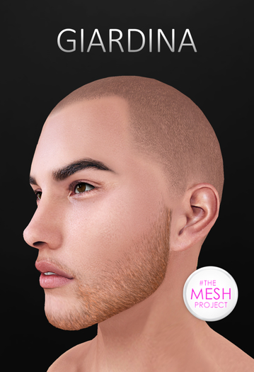 Giardina - YANKEE - White (Bagged)