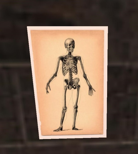 Vintage Skeleton Poster