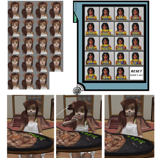 [MSW] Expression Reveicer(Kemono)
