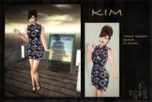 PE  - Kim 1 - vendor