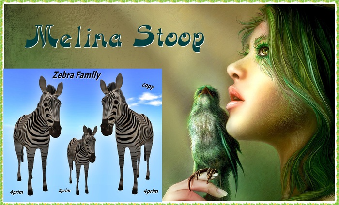 Zebra Family ( MP )