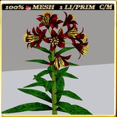 LW_LilyFlowerFuschia