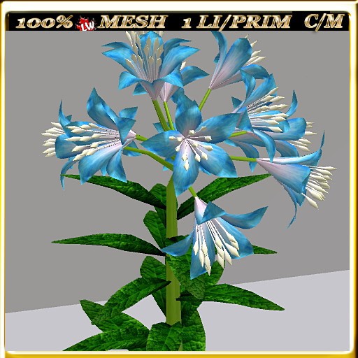 LW_ Lilies - 7 (1 LI / Prim)