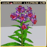 LW_ Lilies - 18 (1 LI / Prim)