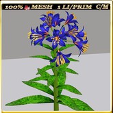 LW_ Lilies - 29 (1 LI / Prim)