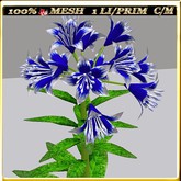 LW_ Lilies - 32 (1 LI / Prim)