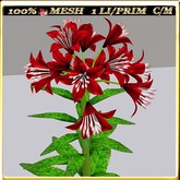 LW_LilyFlowerFuschia