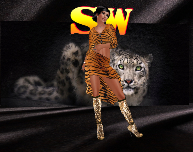 SW_Mesh_cardigan+Skirt_Tiger (BOX)