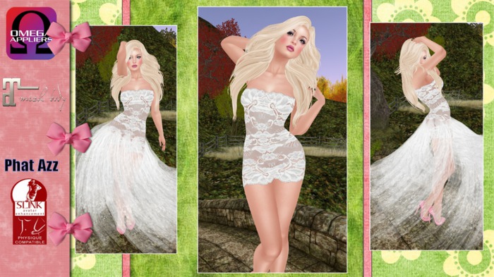 ~*~Shar's Gowns~*~Lace My Lady