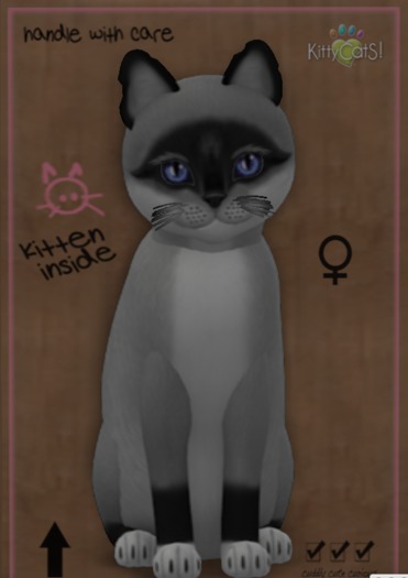 ♀ 8T Foxie Salt & Pepper Mask Midnight Sky Mysterious Small Natural Shorty Odyssey Boo Boo 2Tone Stubby