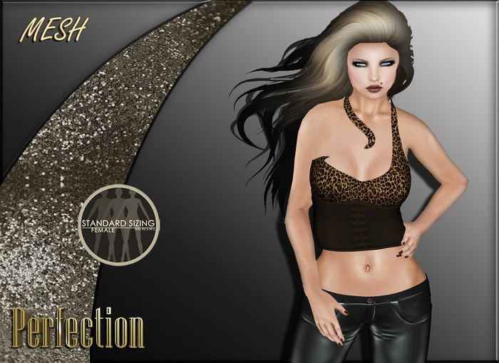 PERFECTION ~Medusa Blouse [Leopard]