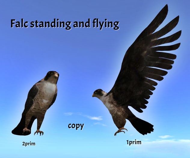 Falc standing and flying  ( MP )