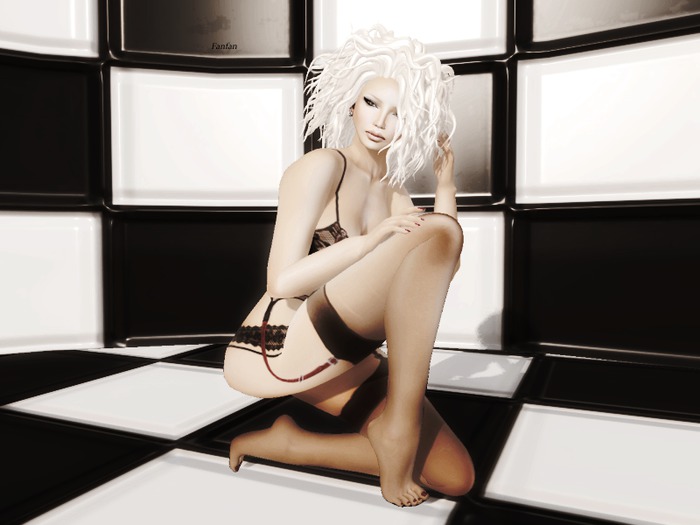 FMS POSES checkerboard 6