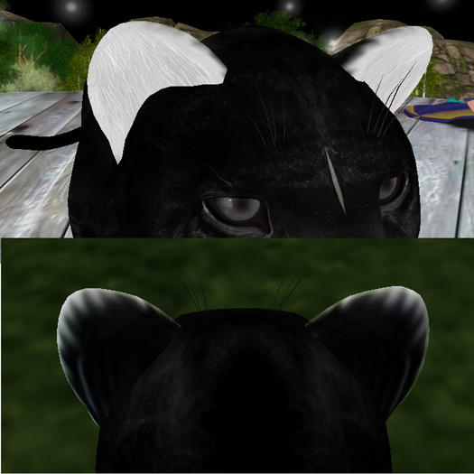 Marking for TWI Lion: Inner ear re-color