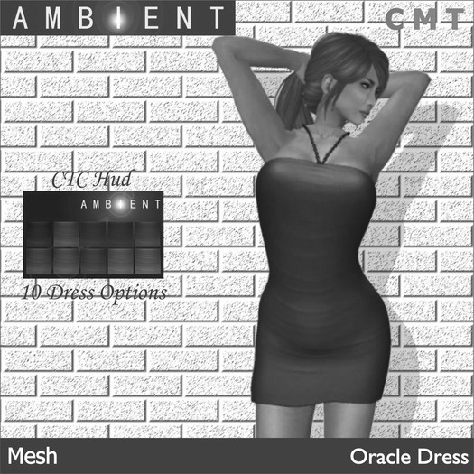 [AMBI] Mesh Oracle Dress (BOXED)