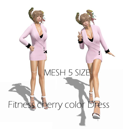 22 Fitness cherry color Dress Box