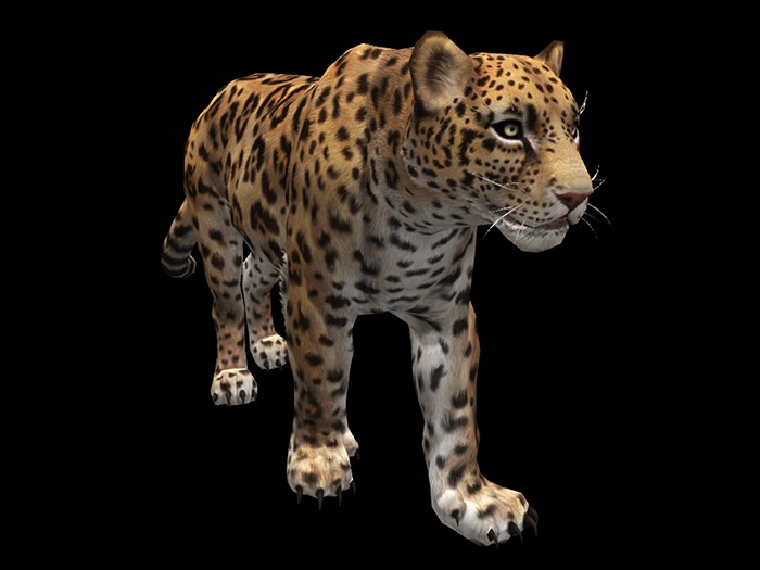 Jaguar - Mesh - Full Perm