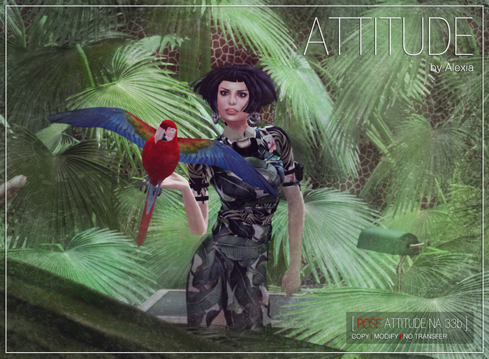 ATTITUDE POSE NA 33b 