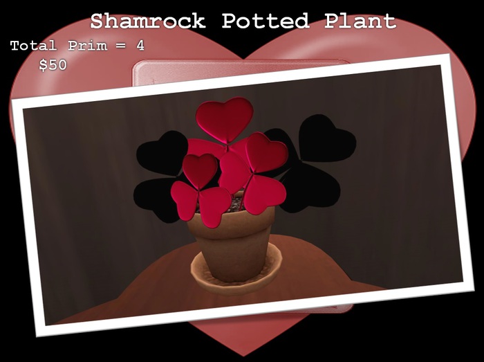 Pink & Black Potted Shamrocks