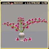 LW_ Vase of Orchids - 13 (1 Prim / LI)