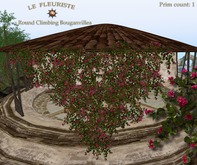 Fleuriste☼Round Wall Climbing Bouganvillea