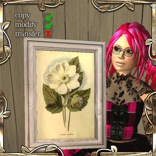 Japanese Anemone (small frame) 