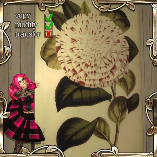 Camelia in Full Bloom (print on canvas)