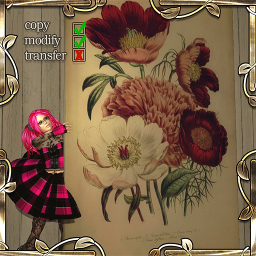Varieties of Peonia (print on canvas)