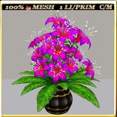LW_ Lily in Vase - 10 (1 LI / 1 Prim)