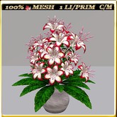 LW_ Lily in Vase - 26 (1 LI / 1 Prim)