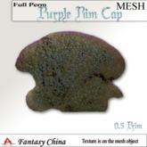 Fantasy China Purple Rim Cap coral full perm 0.5 prim