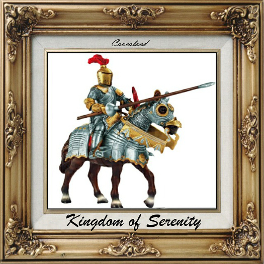 Knight armour ( jousting ) 15