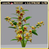 LW_JapaneseBallonFlowersWhite