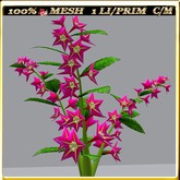 LW_JapaneseBallonFlowersWhite