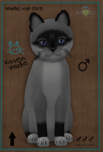 ♂ 7T Foxie Salt & Pepper Mask Midnight Sky Curious Small Natural Big Boo Boo Odyssey Boo Boo 2 Tone Plush