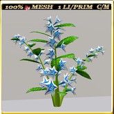 LW_JapaneseBallonFlowersWhite