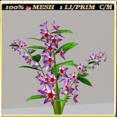 LW_JapaneseBallonFlowersWhite