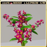 LW_JapaneseBallonFlowersWhite