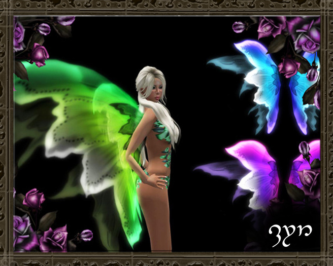 Zyn ~ Delicate Fairy Wings