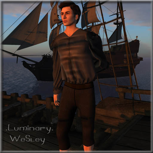 .Luminary. Wesley - DEMO