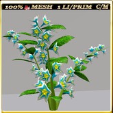 LW_JapaneseBallonFlowersWhite