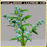 LW_JapaneseBallonFlowersWhite