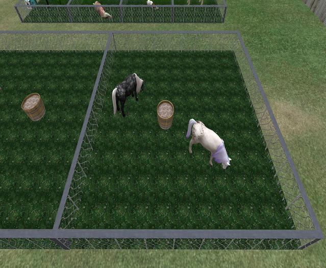 HORSE PEN 10M